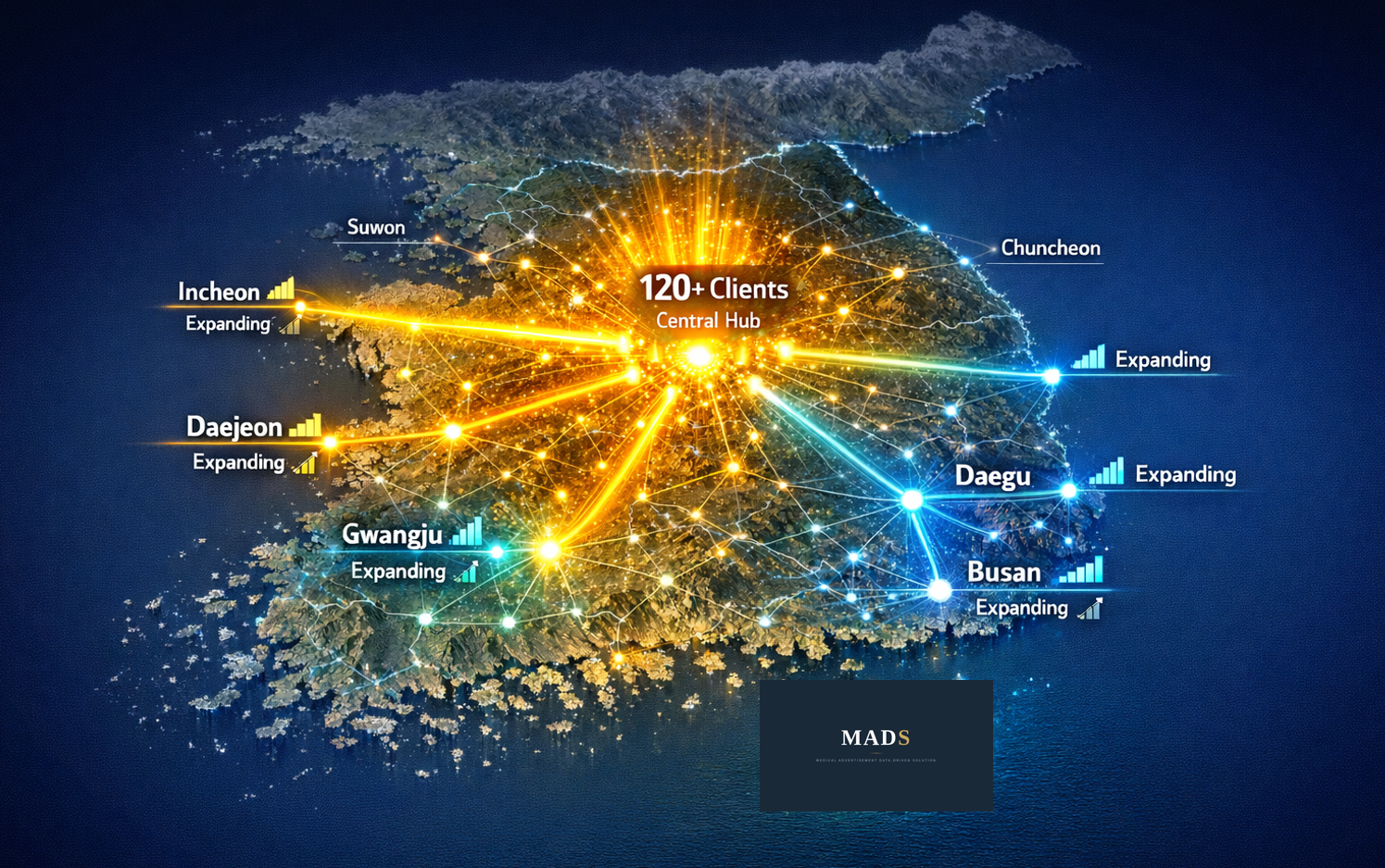 Phase 3 - Market Dominance & Excellence